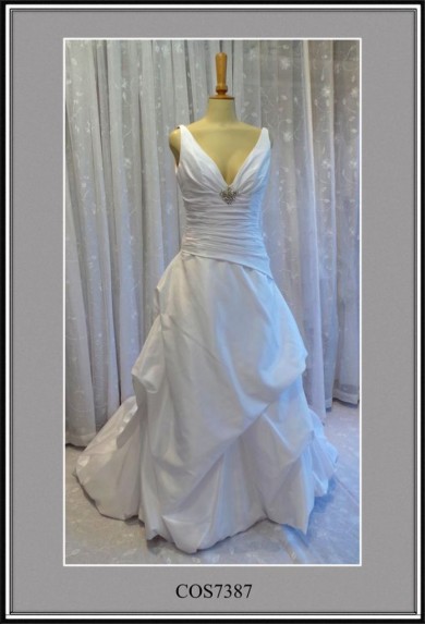 COS7387-Large